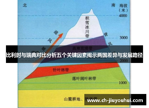 比利时与瑞典对比分析五个关键因素揭示两国差异与发展路径