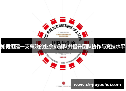 如何组建一支高效的业余排球队并提升团队协作与竞技水平